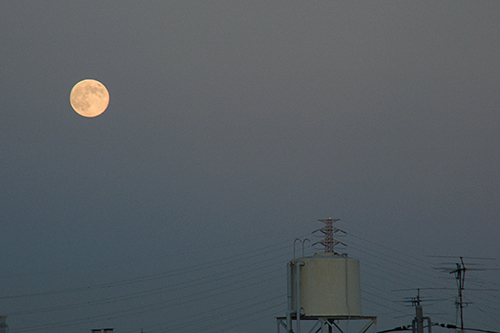 中秋の名月